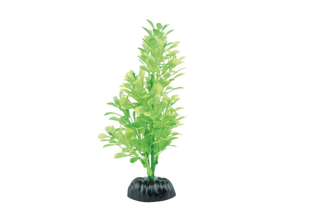 Fins First Plastic Plant Light Green
