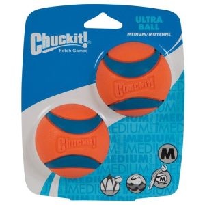 ChuckIt!®Medium Ultra Ball Dog Toy, 2 Count