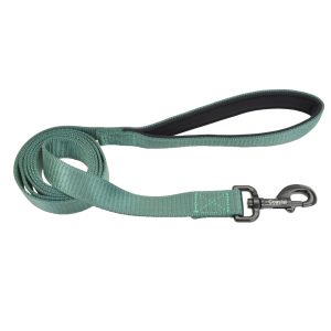 Coastal® Comfort Dog Leash, Green, 1" x 06'