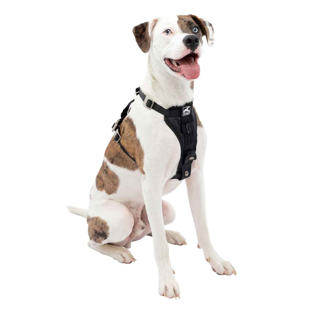 Kurgo Enhanced Strength Tru-Fit Smart Dog Harness With Steel Nesting Buckles - Image 3