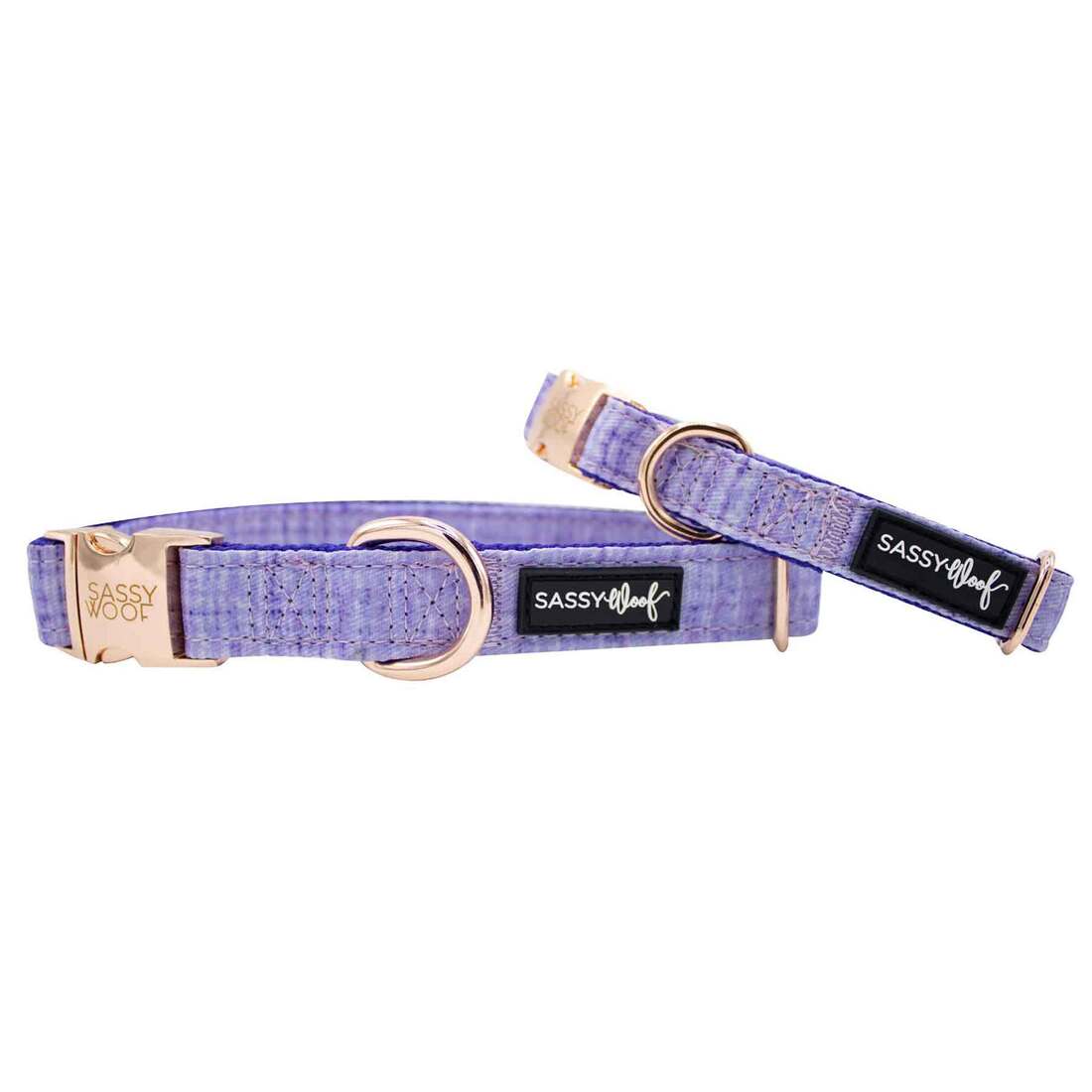 Sassy Woof Dog Collar, Aurora - Image 3