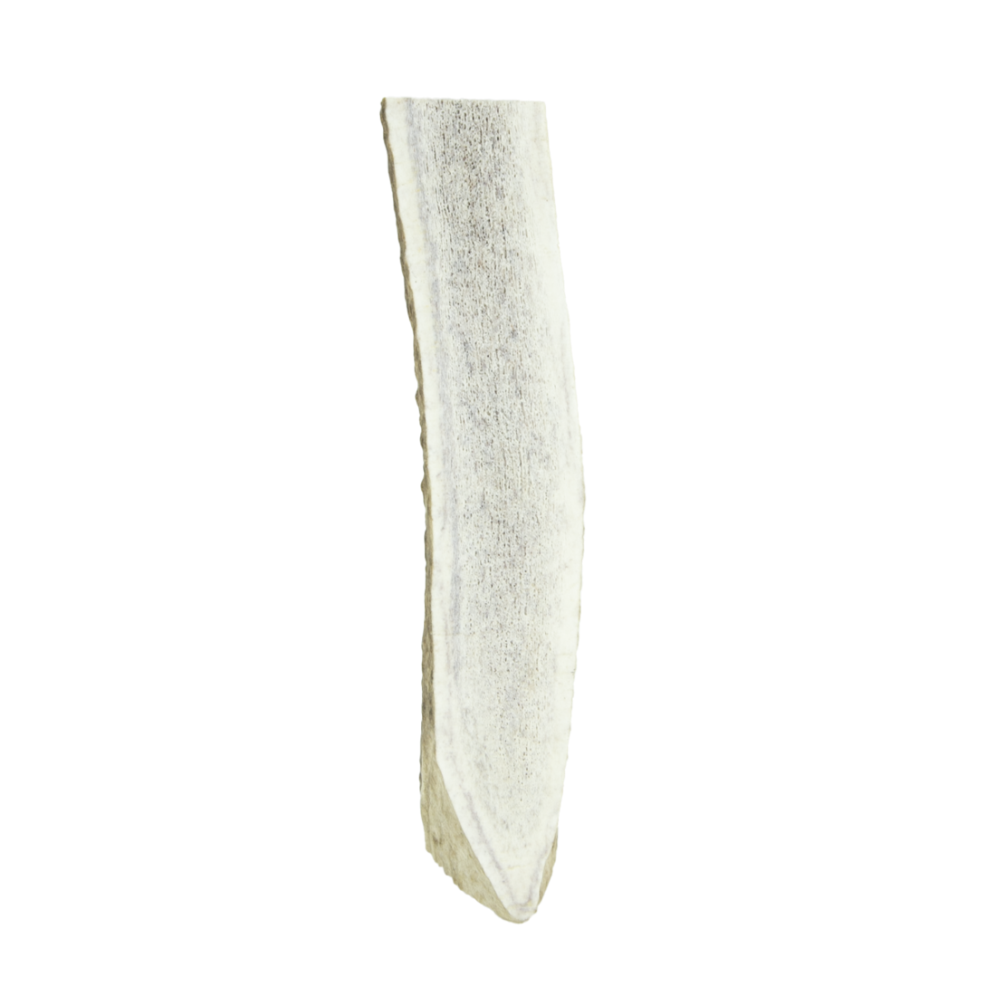 Wixom Ranch Natural Chews Split Elk Antler - Image 4