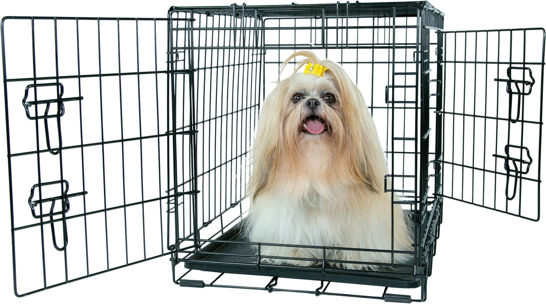 Play On Double Door Crate - Image 5