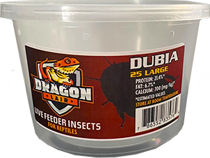 Dragon Lair Dubia Roaches, Large, 25 Count - Not Available For Delivery