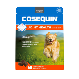 Nutramax Cosequin Maximum Strength Joint Health Supplement Soft Chews for Dogs, 60 Count