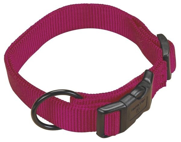 Hamilton Adjustable Dog Collar - Image 3