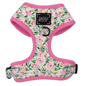 Sassy Woof Adjustable Dog Harness, Magnolia