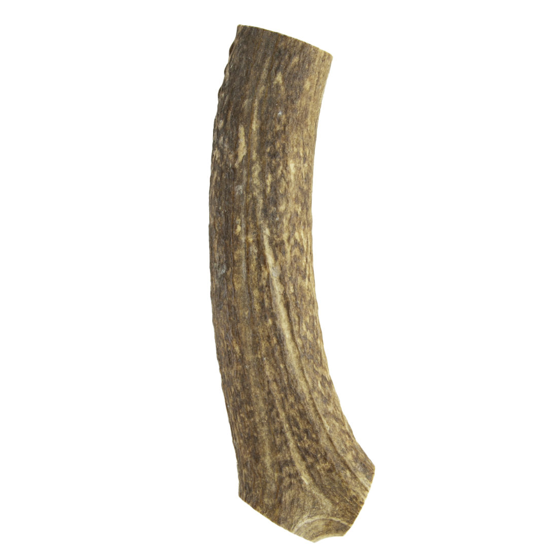 Wixom Ranch Natural Chews Whole Elk Antler - Image 2