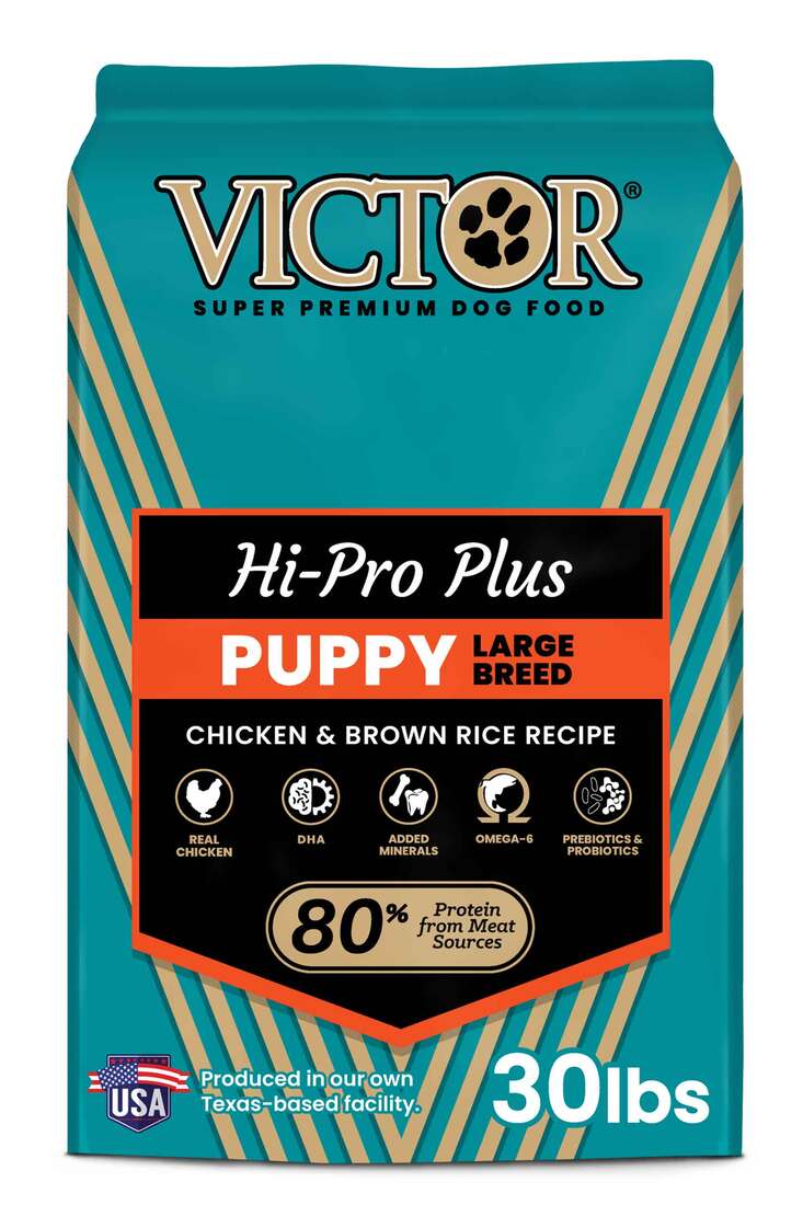 VICTOR Classic Hi-Pro Plus Large Breed Puppy Chicken Dry Dog Food, 30 Pounds