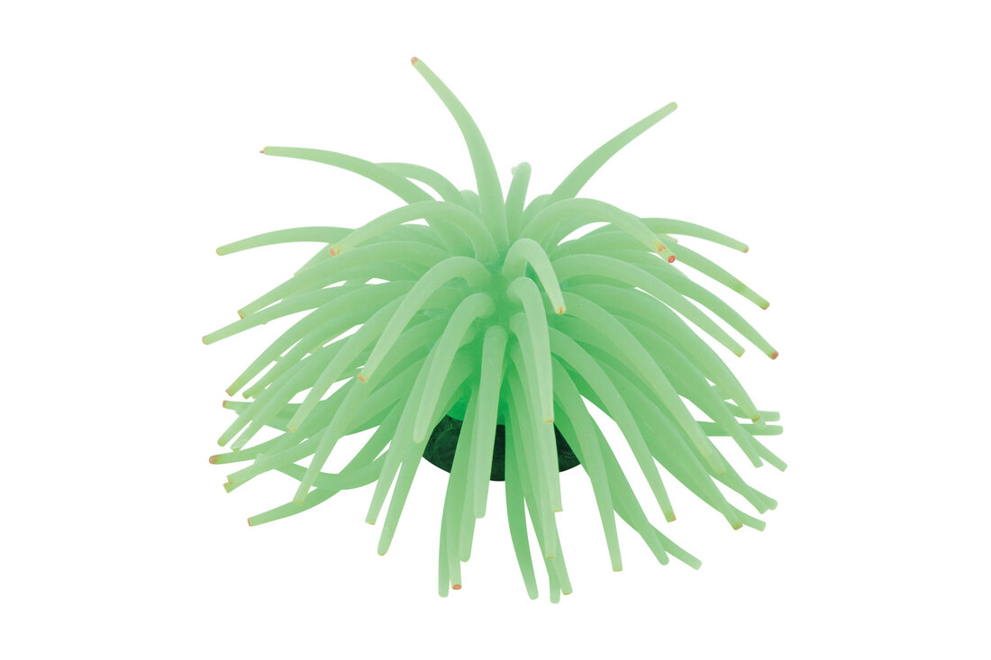 Fins First Sea Anemone Green, Large