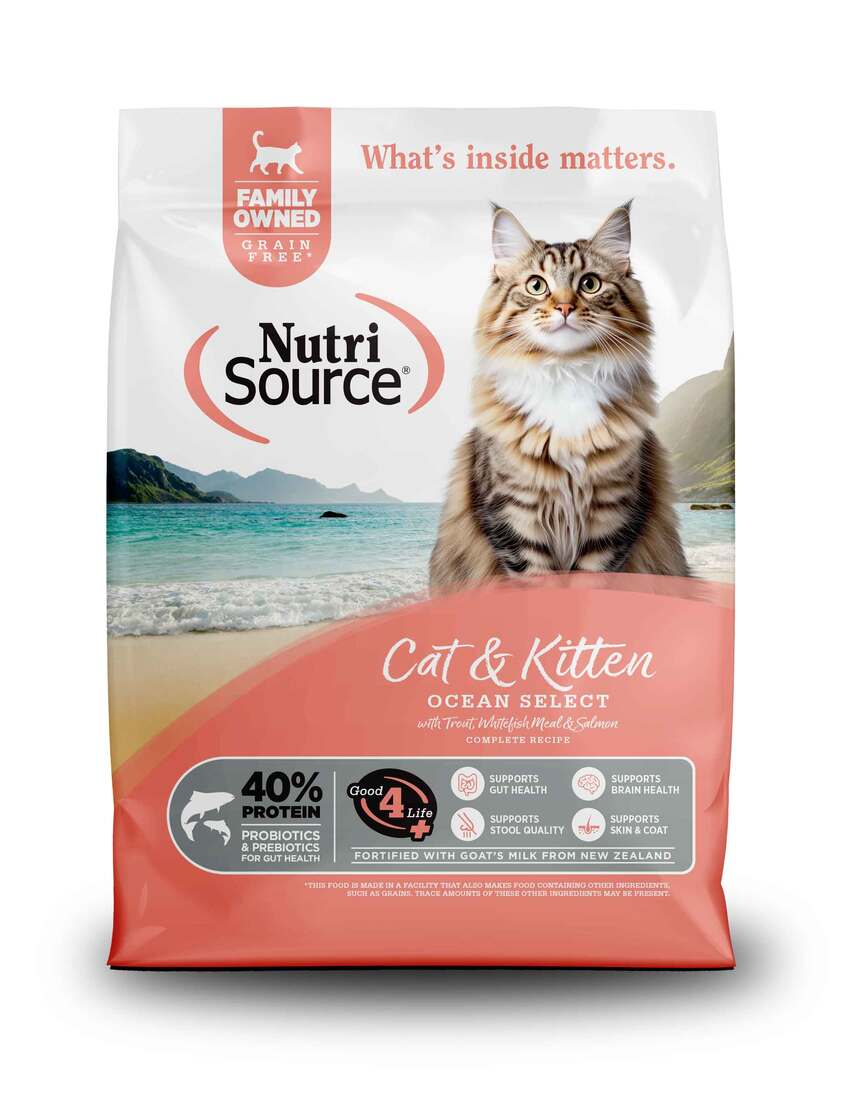 NutriSource Ocean Select Grain-Free Dry Cat Food, Trout/Whitefish/Salmon - Image 2