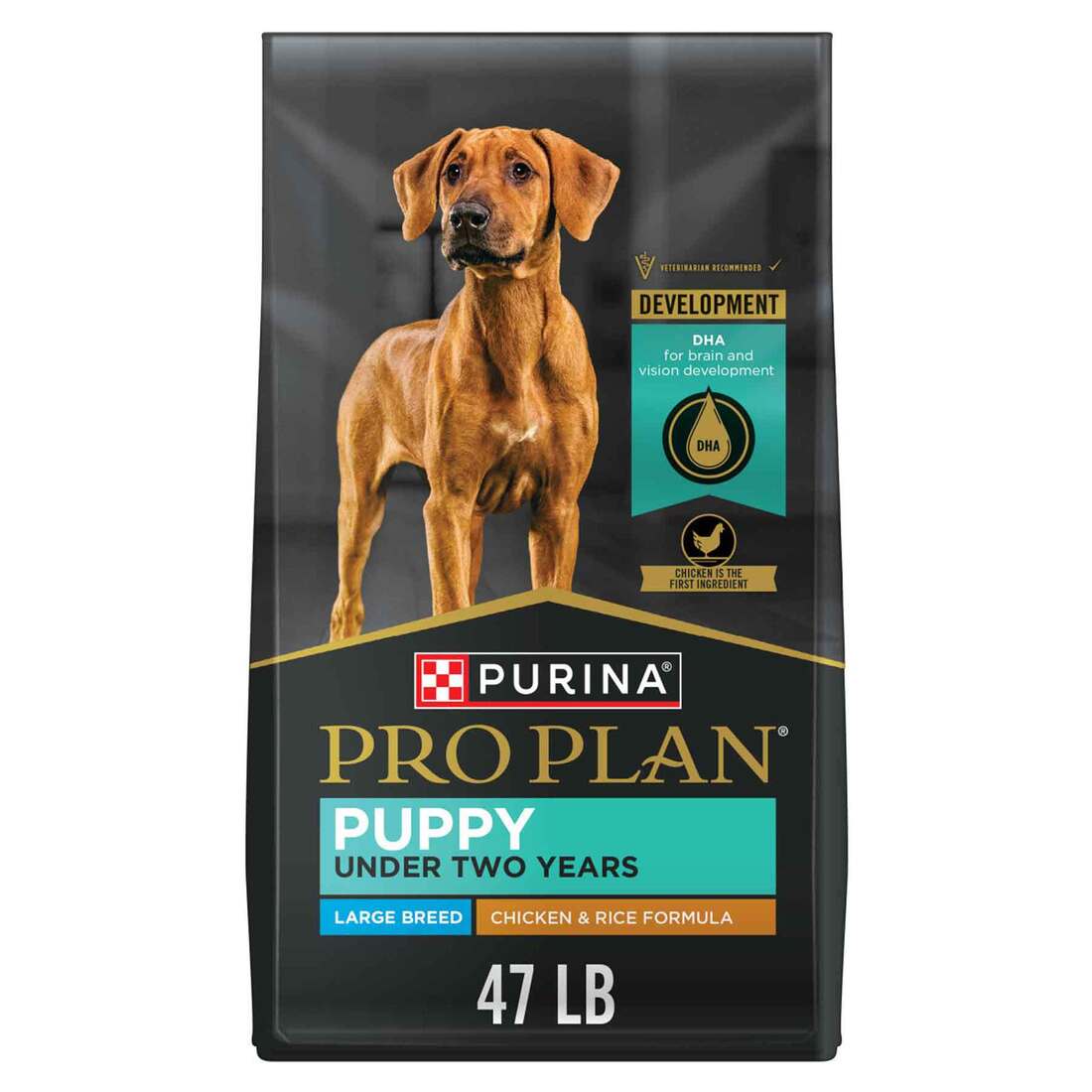 Purina Pro Plan Large Breed Dry Puppy Food, FOCUS Chicken & Rice Formula