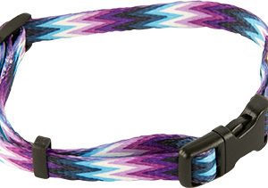 PS+ Dog Collar, Purple Zigzag