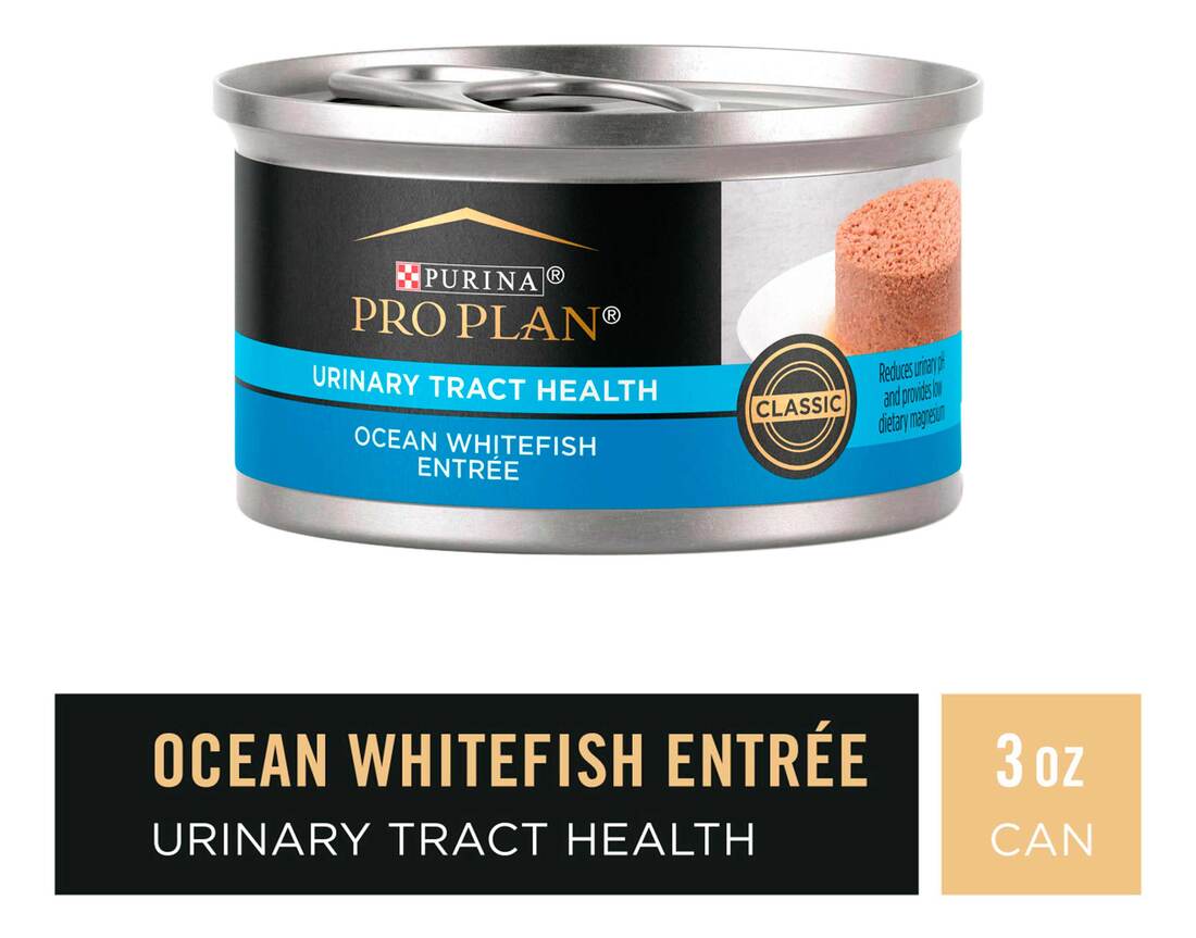 Purina Pro Plan Urinary Tract Health Wet Cat Food, FOCUS Urinary Tract Health - Image 2