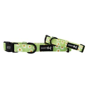 Sassy Woof Dog Collar, Dainty Daisy Green