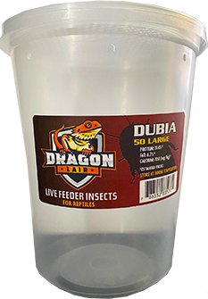 Dragon Lair Dubia Roaches, Large, 50 Count - Not Available For Delivery