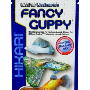 Hikari® Fancy Guppy 0.77 Ounce - Daily Diet