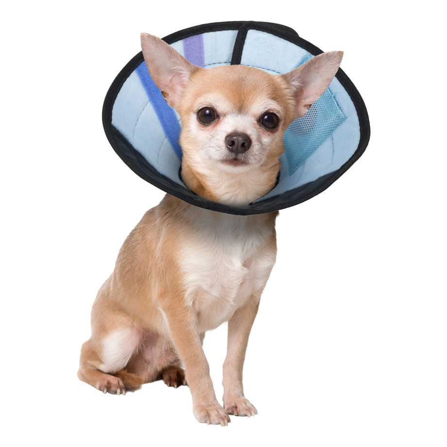 Calm Paws Dog Caring Collar With Calming - Image 3