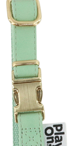 Play On Faux Leather Dog Collar, Mint Green