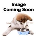 Huxley And Kent Plush Funfetti Cake Dog Toy
