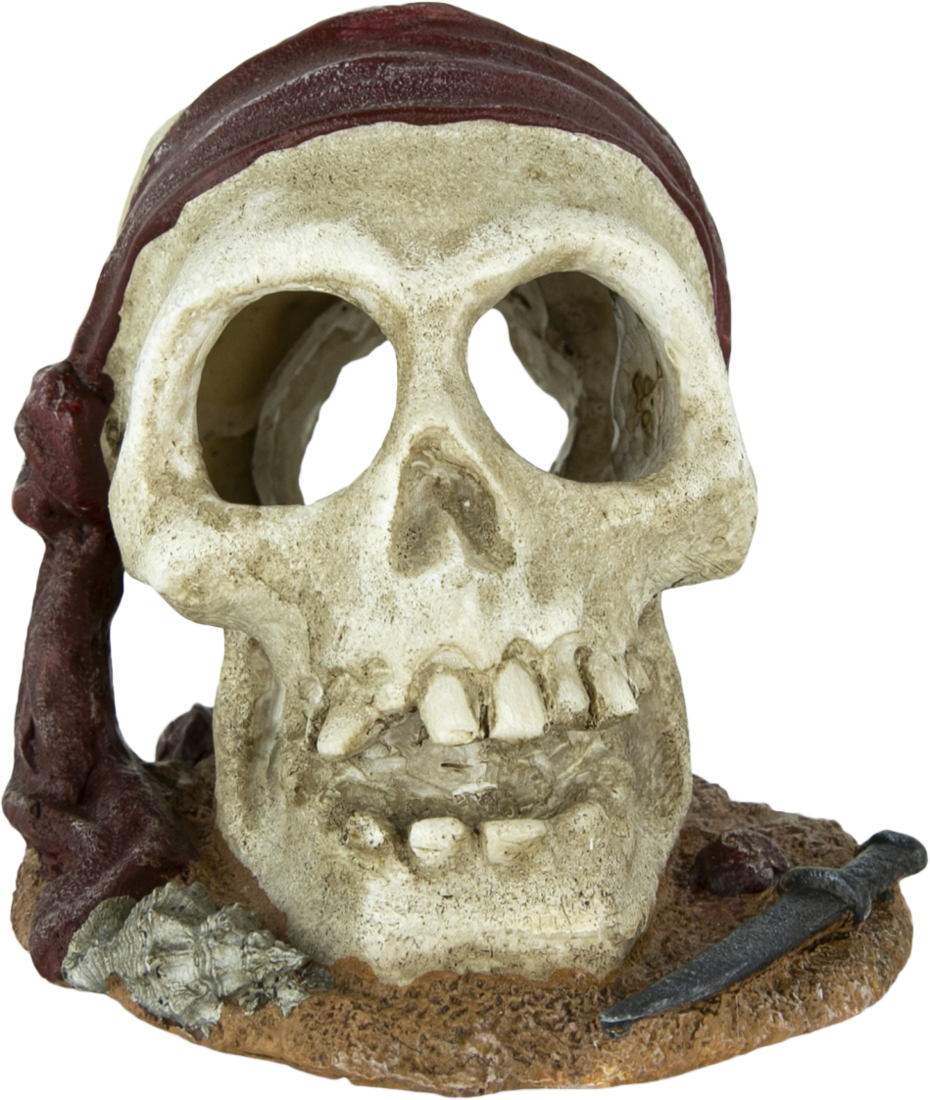 Fins First Aquarium Décor, Pirate Skull, Medium