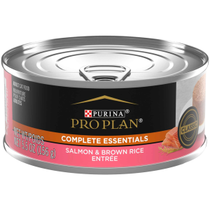 Purina Pro Plan Wet Cat Food, Adult Salmon & Brown Rice Pate Entree, 5.5 Ounces