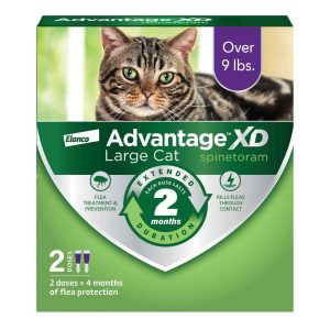 Advantage XD Long-Lasting Flea Prevention & Treatment for Large Cats (Over 9 lbs)
