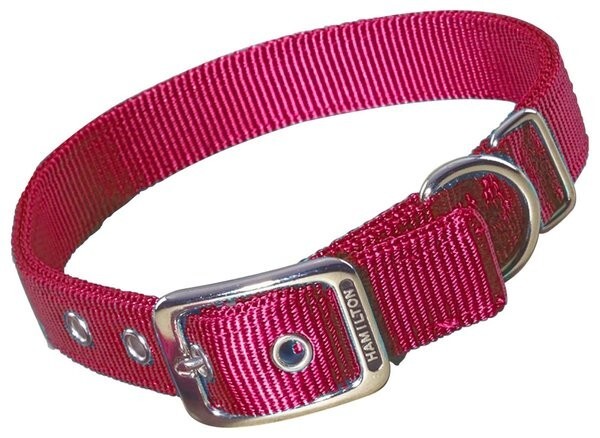 Hamilton Double Thick Nylon Dog Collar - Image 4