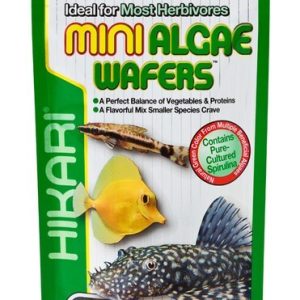 Hikari® Mini Algae Wafers™ 3 Ounces - Daily Diet