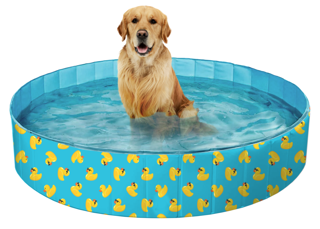 Play On Outdoor Dog Pool, Rubber Duck, 63 Inches