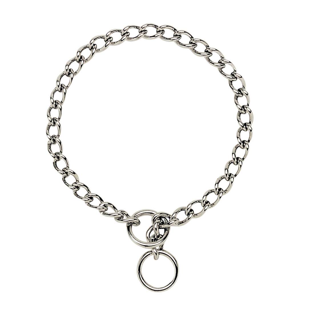 Coastal Titan® Chain Training Dog Collar - Image 7