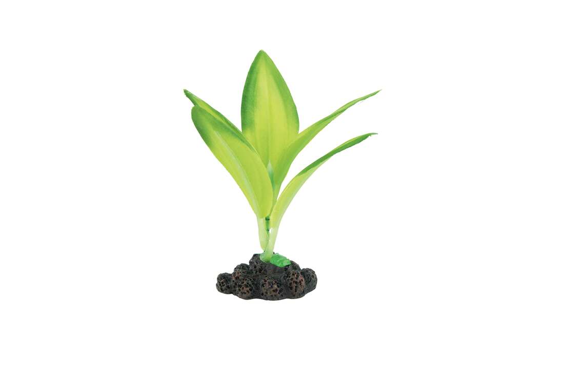 Fins First Silk Plant Green