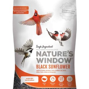 Nature's Window Black Sunflower Wild Bird Food, 20 Pounds