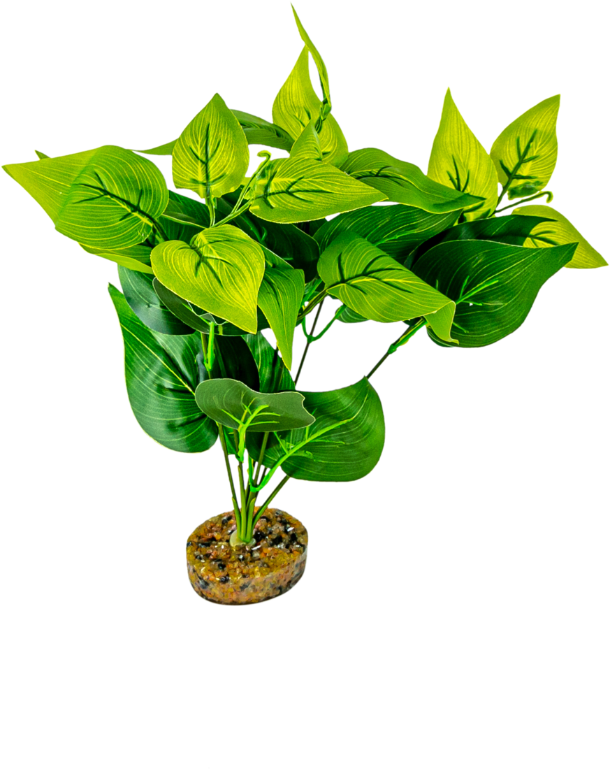 Terrassic Terrarium Décor, Scindapsus Plant, 10 Inches